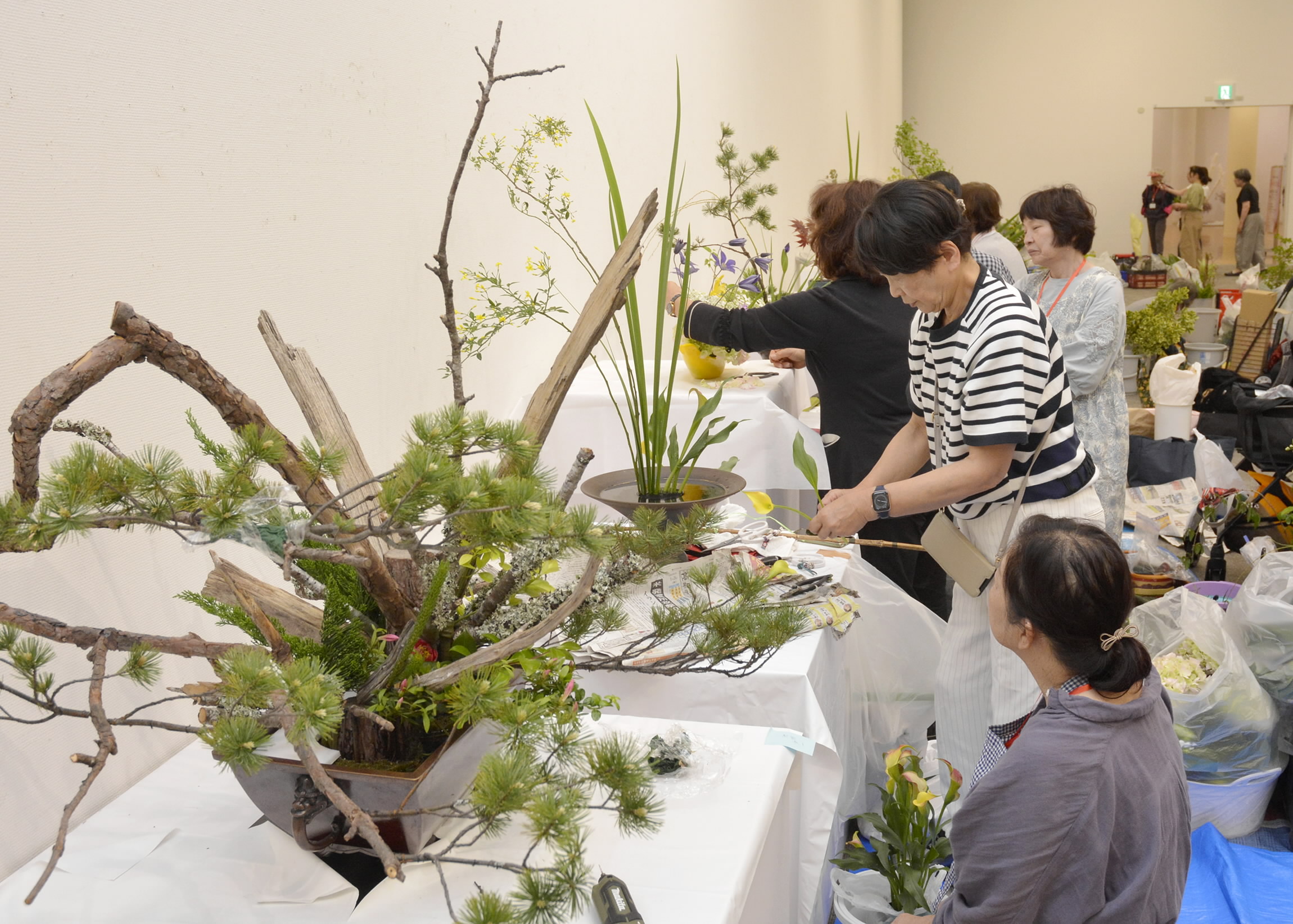 春のいけばな展で感じる創造性とつながり