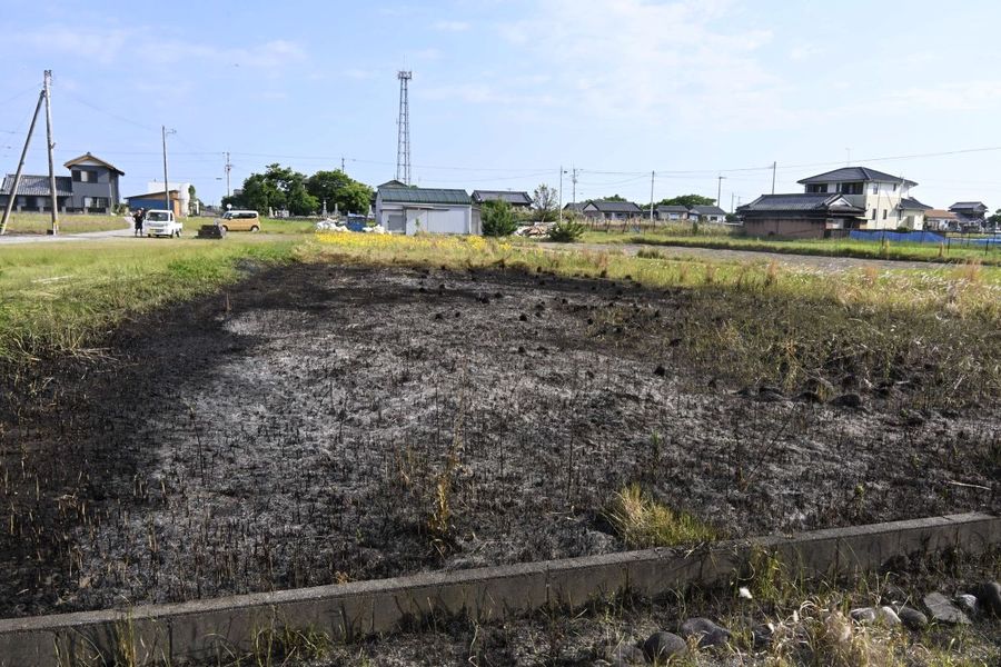 休耕地を焼いた火災（１５日午後４時２０分ごろ、南国市前浜）