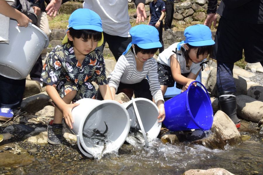 アユを放流する園児たち（安田町正弘）