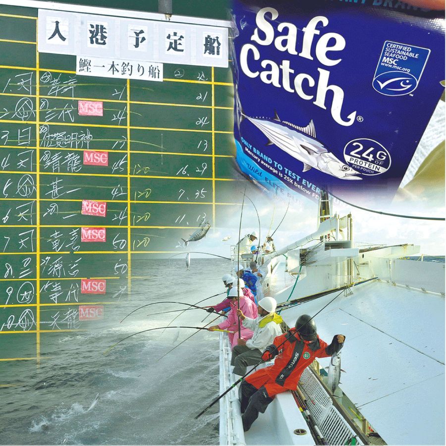 MSC認証船を示す掲示板(左上)、国外で売られるエコラベル付き商品(右上)、認証を受けた一本釣り船(右下)のコラージュ=竹内宏樹作成
