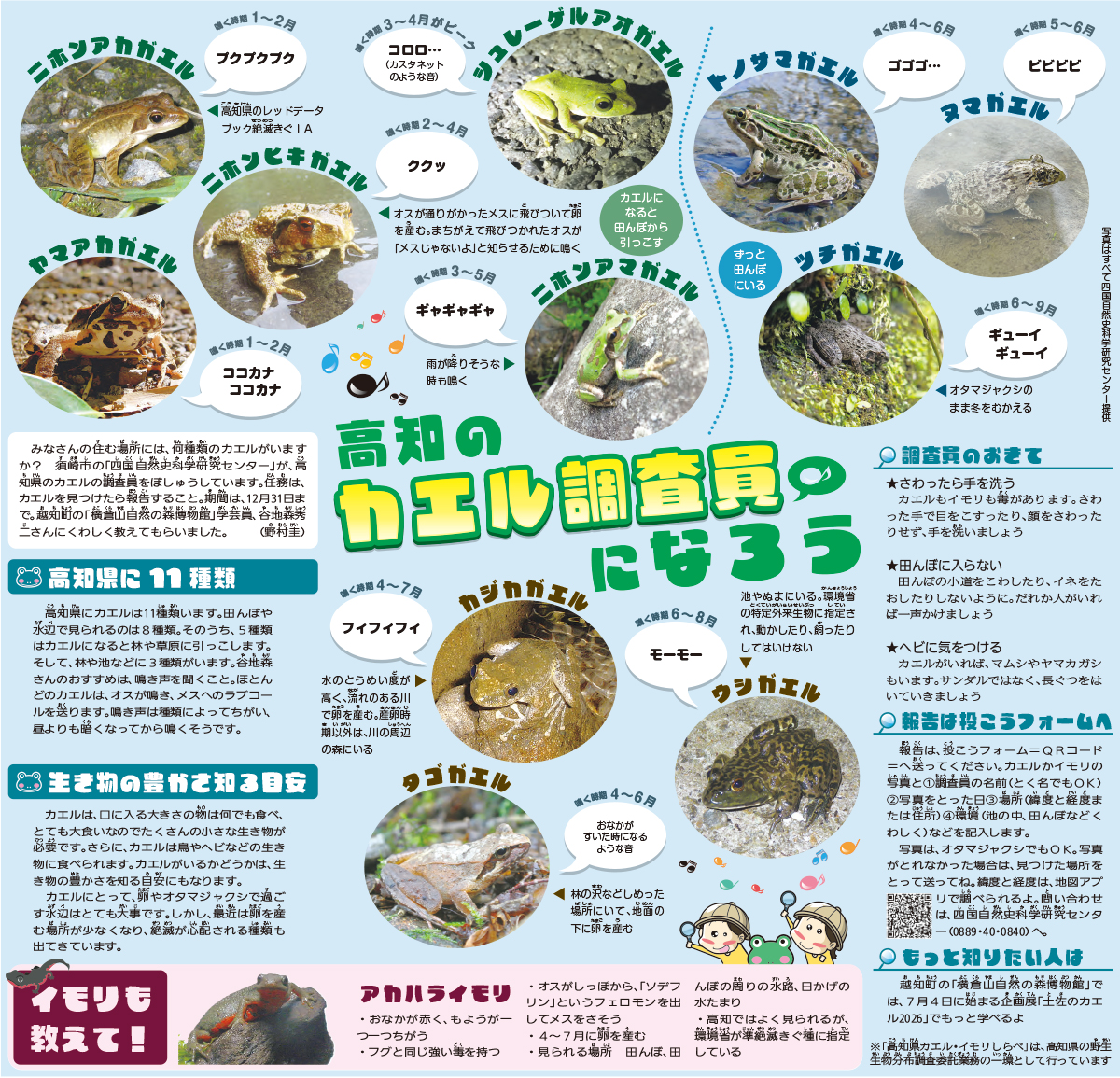 高知のカエル🐸調査員になろう！ | 高知新聞