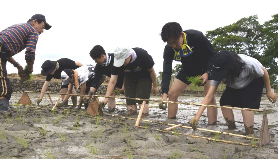 田植えを楽しむ子どもたち(田野町)
