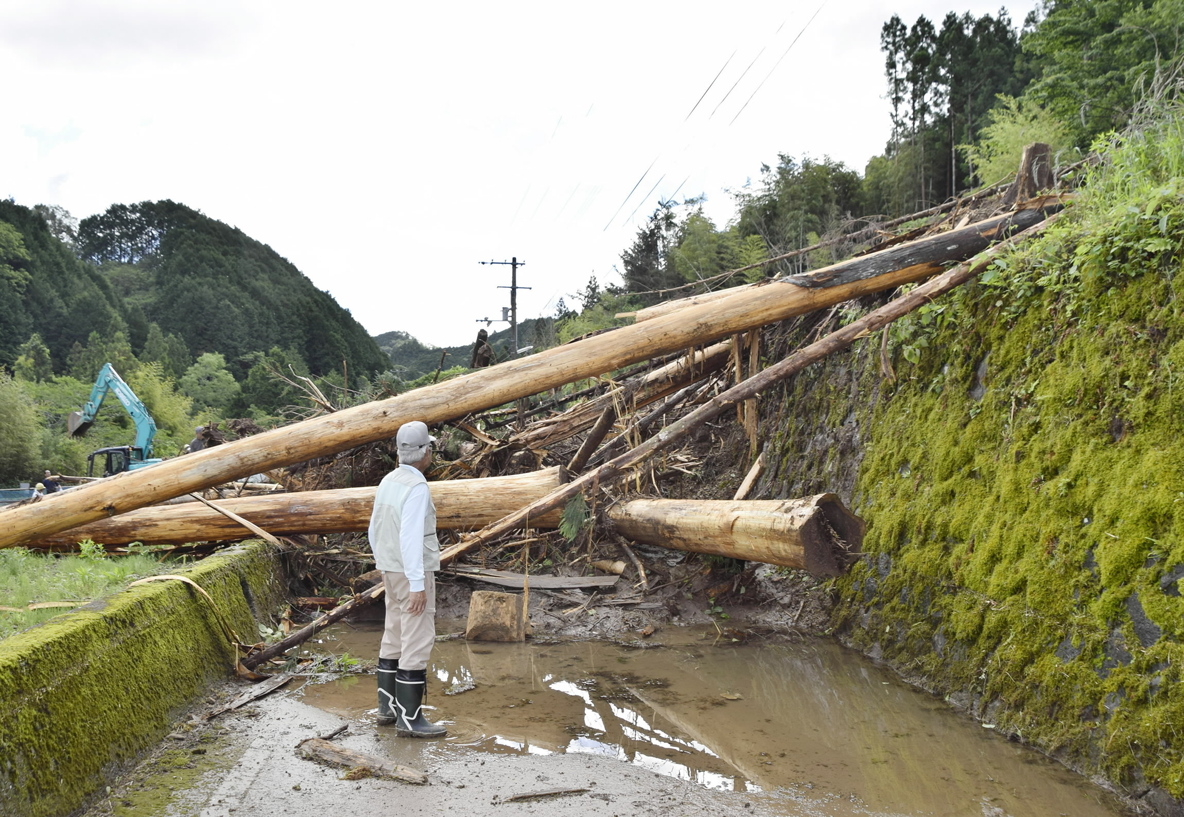 台風6号】高知県内に爪痕 広範囲で土砂崩れや倒木、ハウス被害が発生