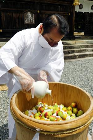梅の日」に産地の発展祈る式典 和歌山・田辺市の熊野本宮大社 | 高知新聞