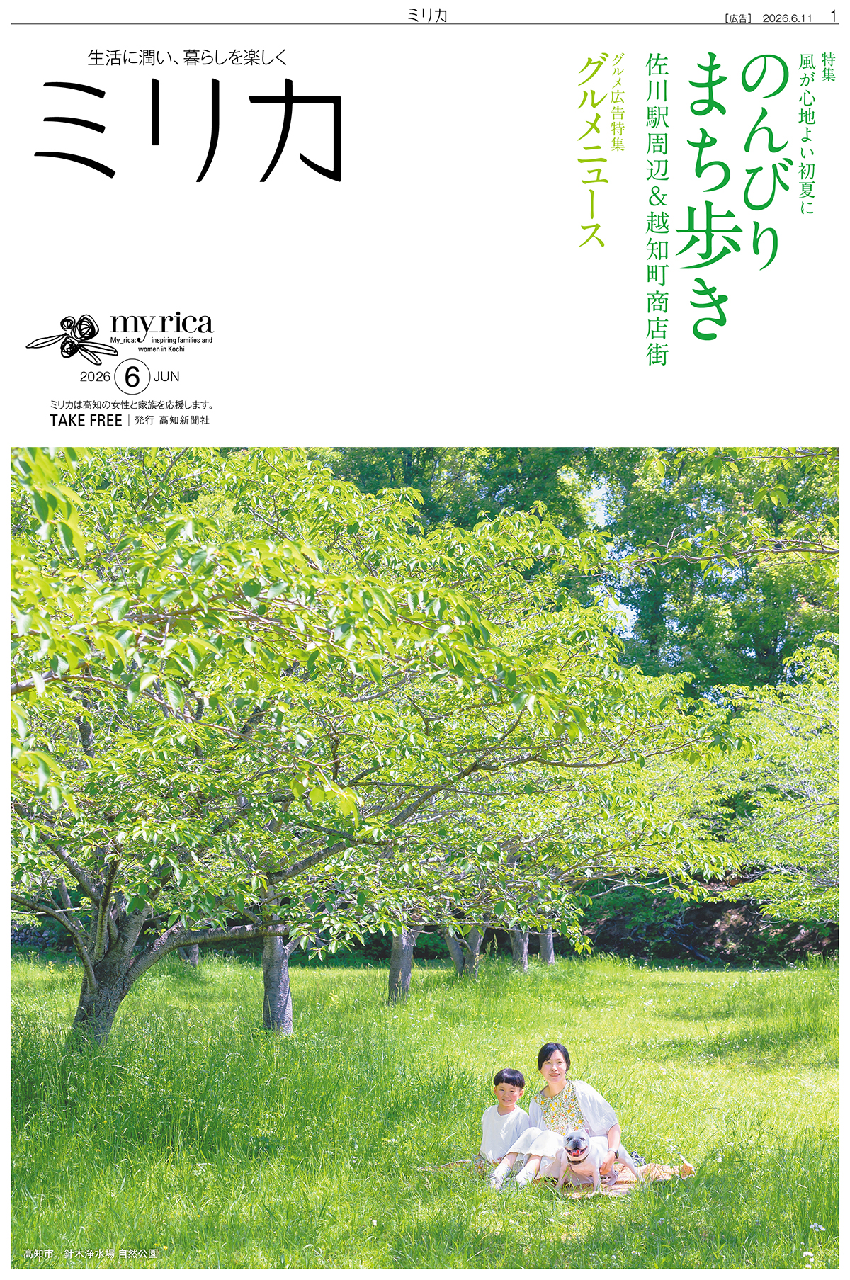 ミリカ】2026年6月最新号紹介 | 高知新聞