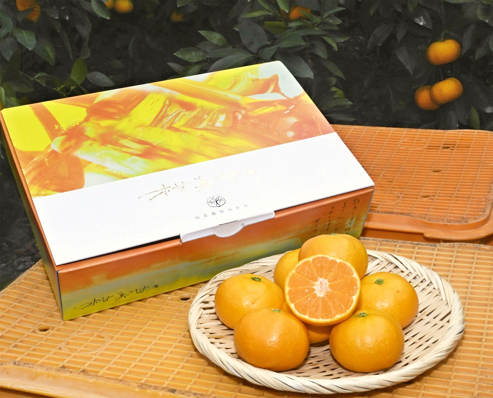 贈り物や自分へのごほうびに！山北ミカンに高級ブランド「柑美甘々