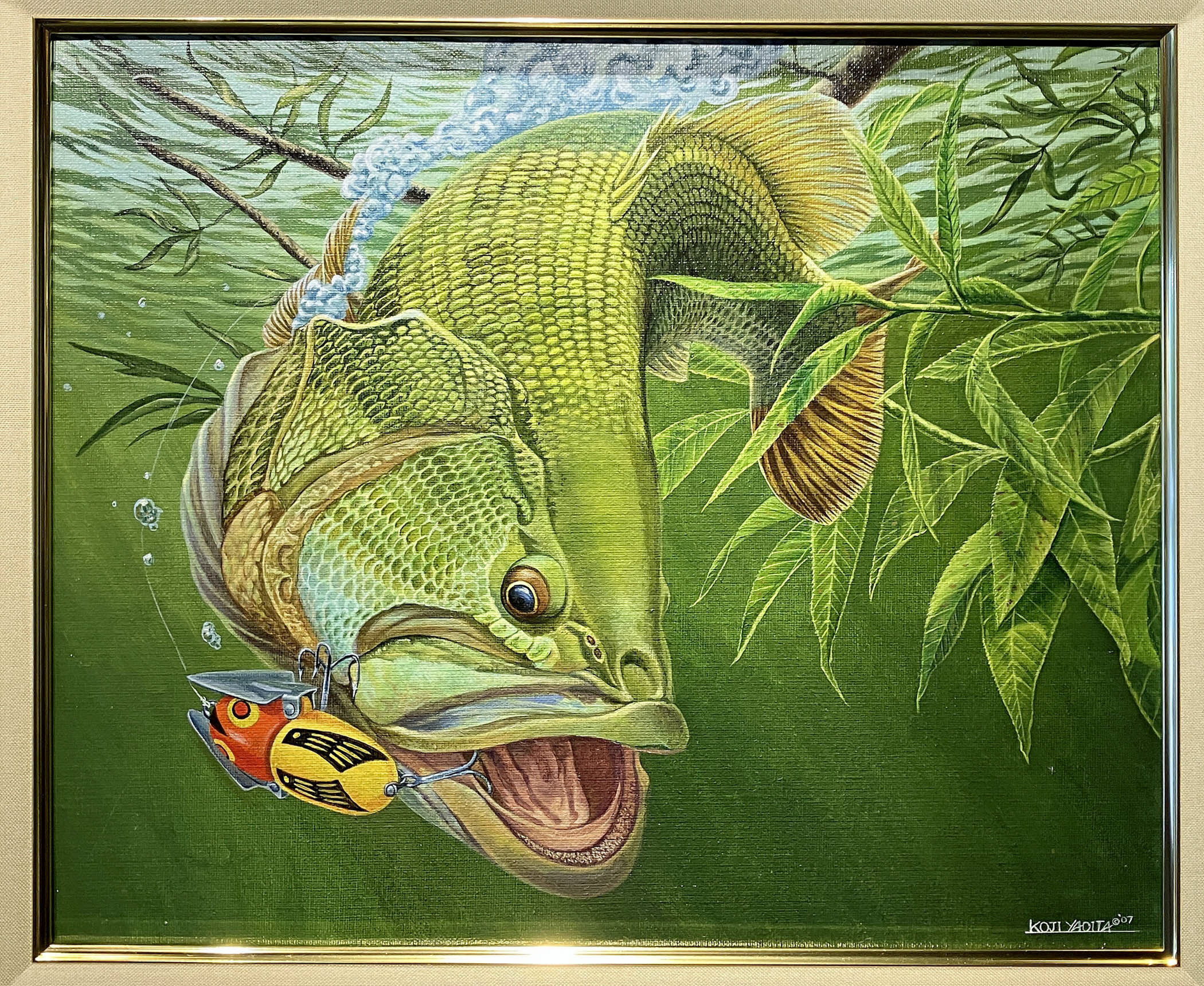 フィッシュアートの名手が描いた怪魚は！？ 八百板浩司さんがアカメ