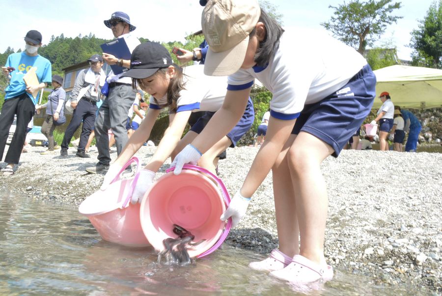 ウナギ2000匹大きく育って！ 池川小児童らが放流 高知県仁淀川町 