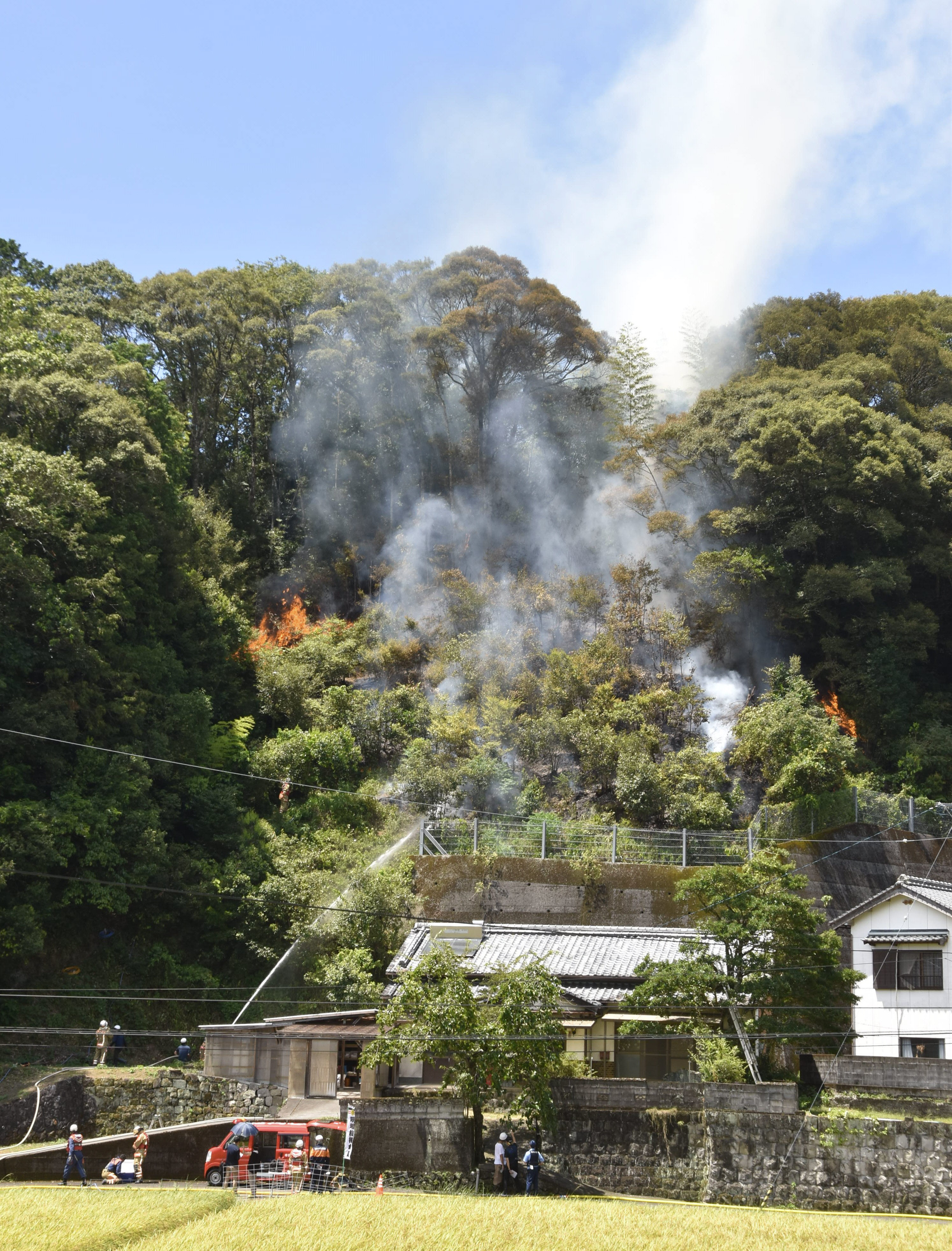 山が燃えている」 高知県四万十市で山林火災 類焼やけが人なし | 高知新聞