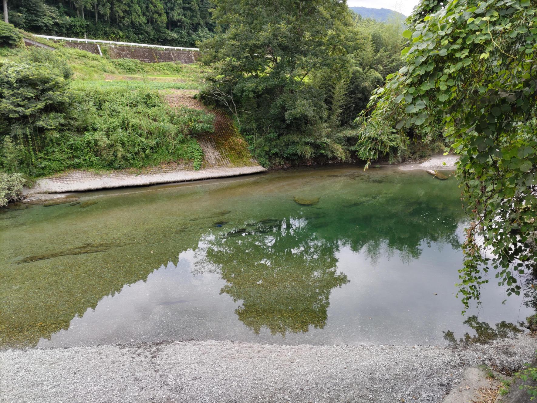 高知の水難事故多発スポットと原因を徹底検証！鏡川・汗見川・地蔵寺川の事例から学ぶ安全対策の全貌