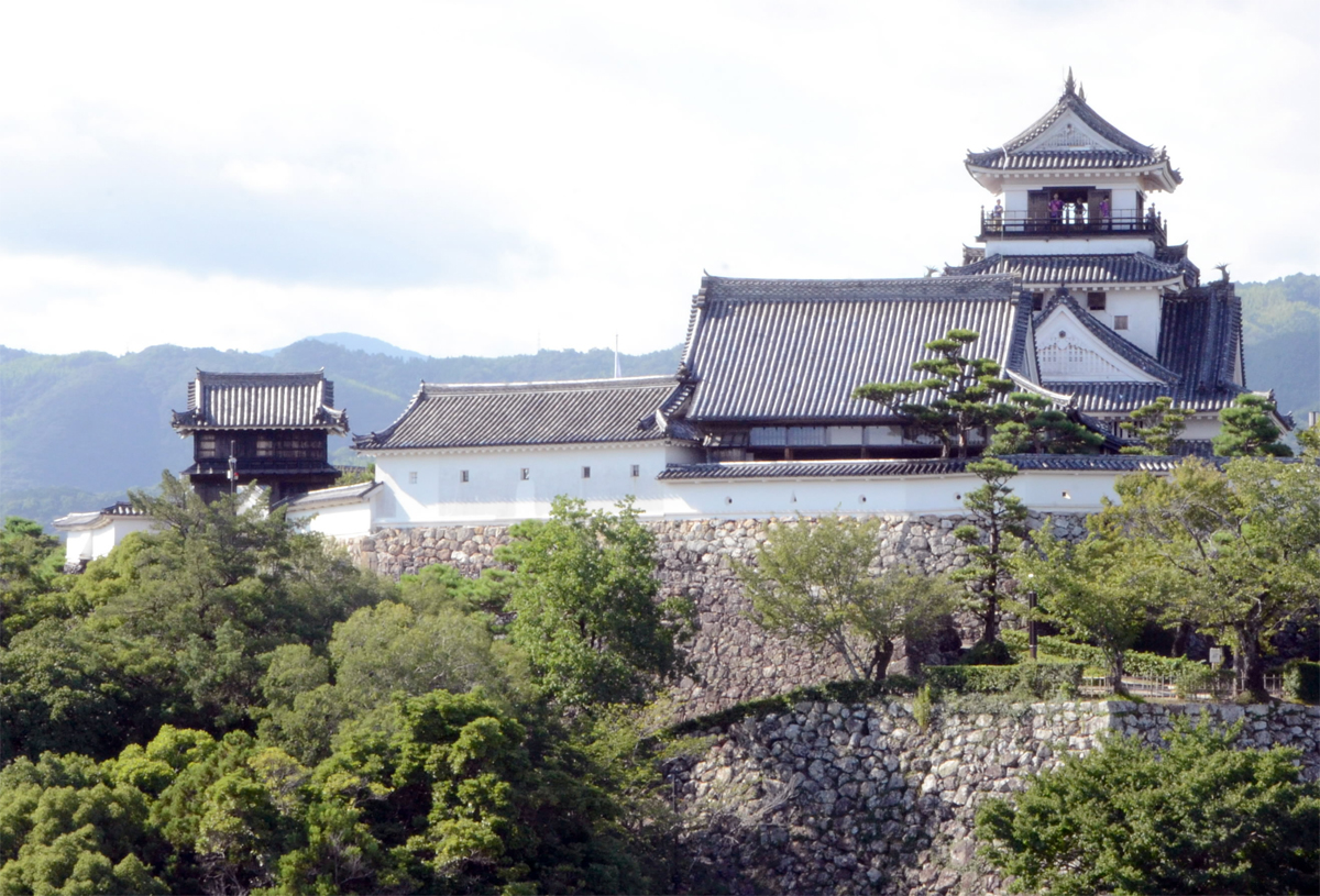 高知城、20年かけ耐震化 矢狭間塀や黒鉄門などを解体修理、天守や