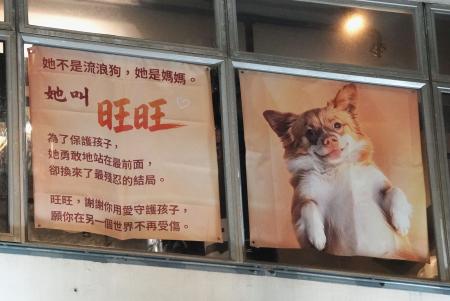 中国で犬虐殺、世界で非難 街頭広告、国内SNS削除 | 高知新聞