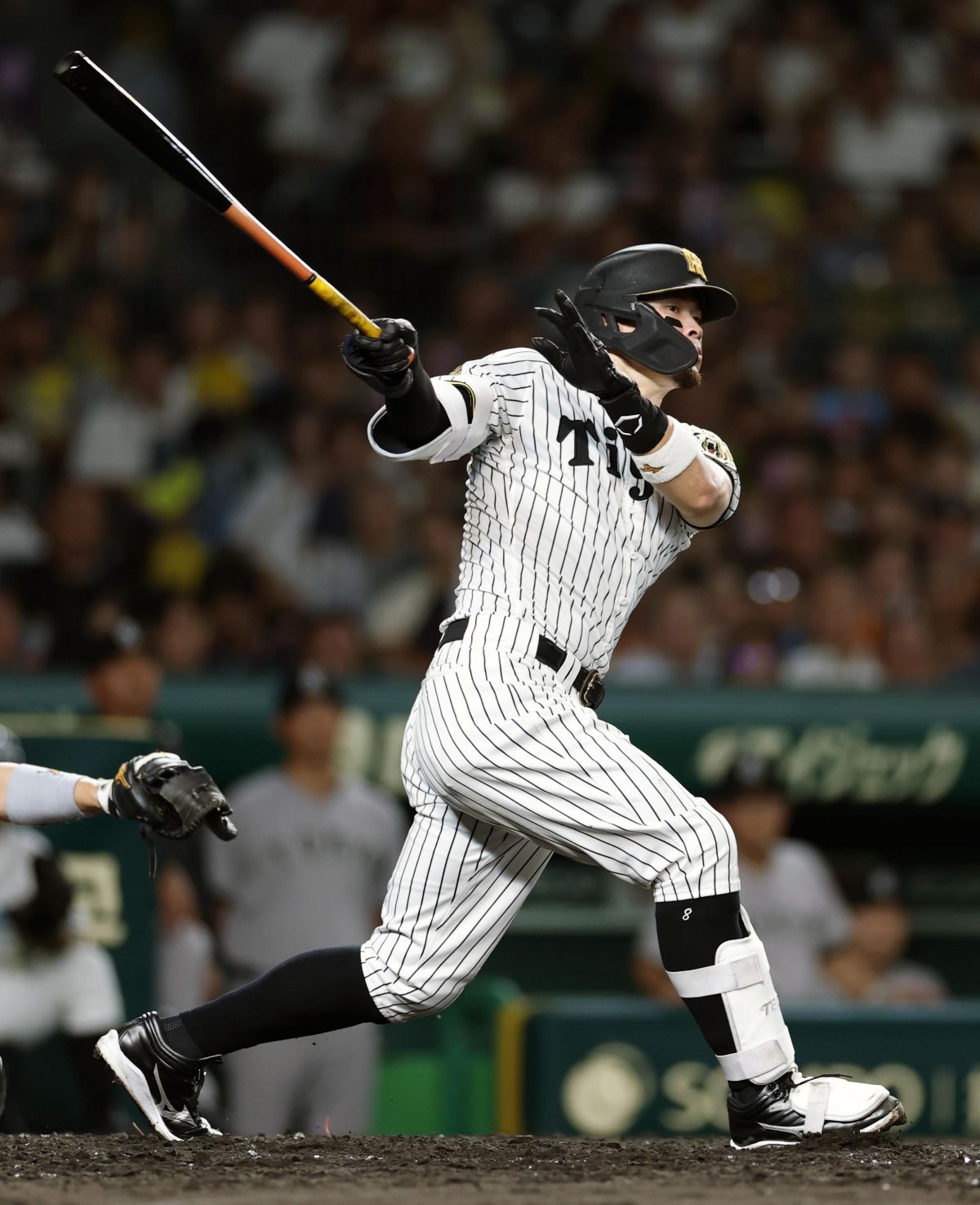 プロ野球・阪神が2年連続の優勝に近づく 打者と投手が絶好調 | 高知新聞