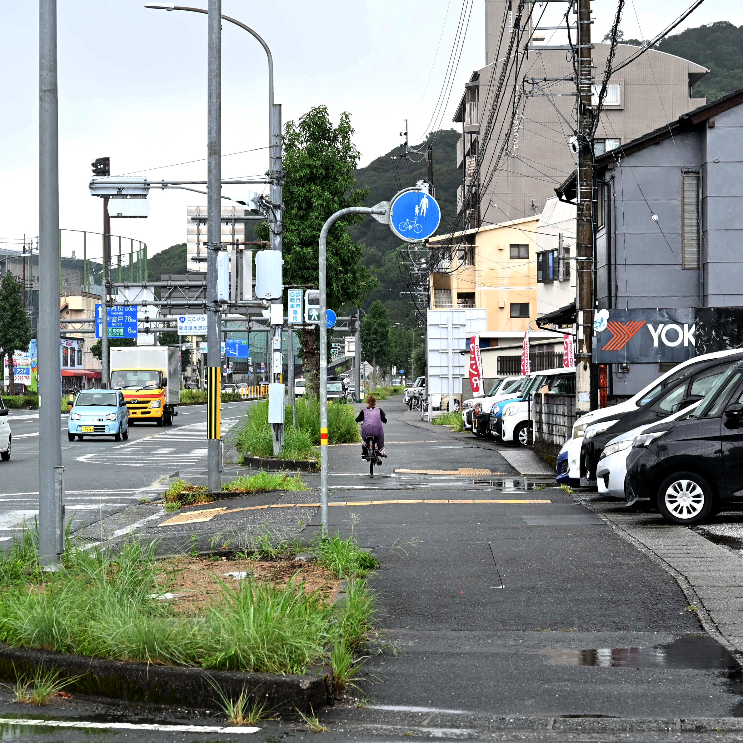 9/25更新】なにげない高知の日常 写真特集｢高知百景｣ 歩くと見えてくる