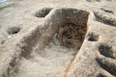 弥生期最大級の門柱跡発見 神宿る山へ、祭祀の象徴か | 高知新聞