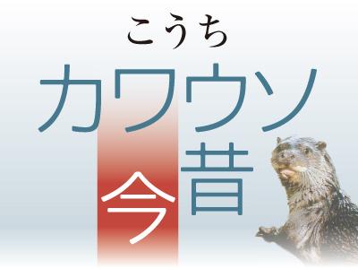こうちカワウソ今昔 | 高知新聞
