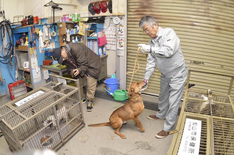 助けて わんにゃん 高知の動物愛護を追う 35 イヌネコライフネットワークえひめ 高知新聞