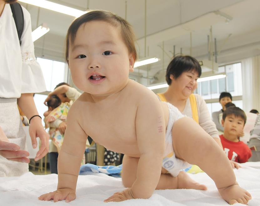 赤ちゃん会 写真特集 高知新聞