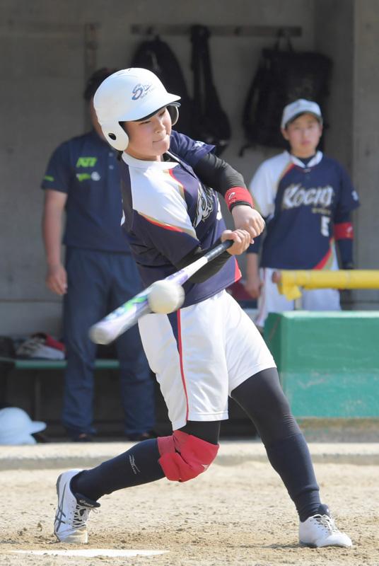 県体２０１９ ソフトボール 高知商女子２年ぶりｖ 高知新聞