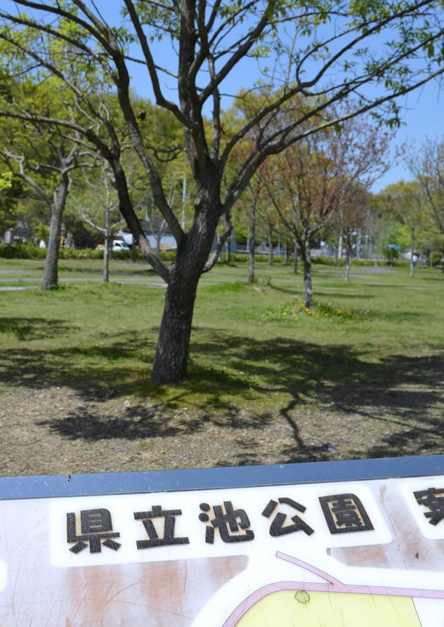 １０ １２に池公園で花と緑のフェスティバル 高知新聞