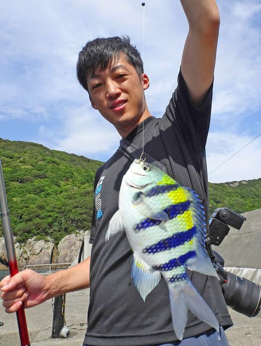 美しい色をしたオヤビッチャ