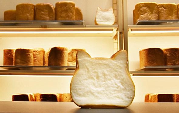四国初上陸 「ねこねこ食パン」イオンモール高知にオープン 高知新聞