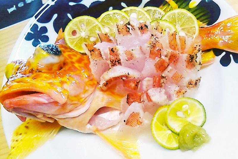 はっぴぃ魚ッチ 料理ではしゃぐ釣り師たち 高知新聞