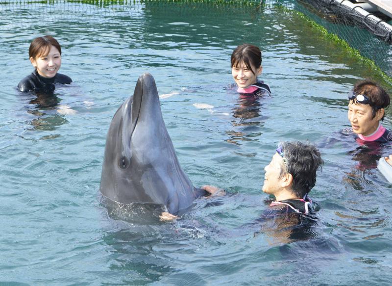 室戸イルカ施設 市民無料に 新体制始動 月末まで体験割引も 高知新聞