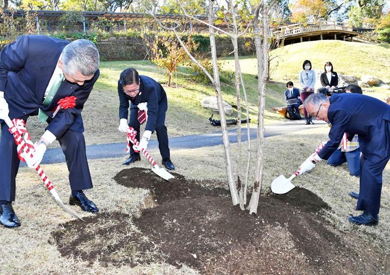 天皇陛下即位記念し ヒトツバタゴ 植樹 浜田知事ら 高知県立牧野植物園に 高知新聞