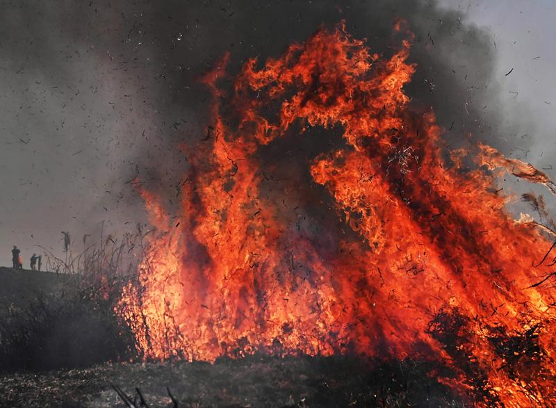 音土景 音感じる土佐の風景 2 芝はぜる炎の柱 春を呼ぶ 動画 高知新聞