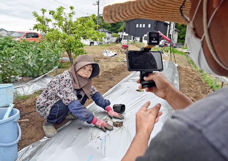 ７６歳農業ユーチューバー人気 高知市の ひろちゃん 登録者７万人突破 高知新聞