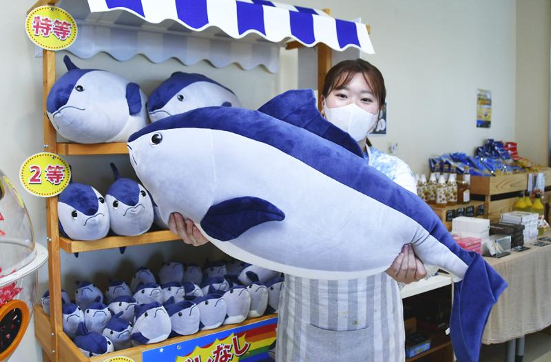 室戸市で今度は マグロくじ ジオセンター 市内７種類目 高知新聞
