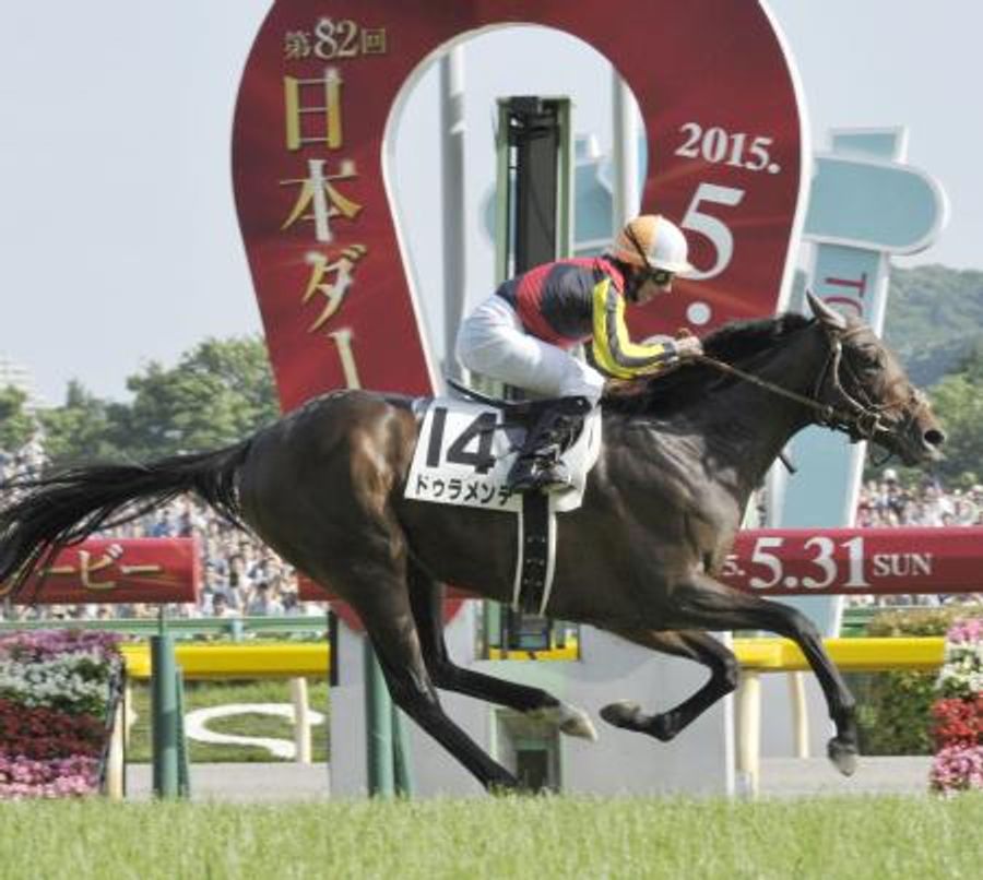 競馬2冠のドゥラメンテが死ぬ 15年日本ダービー、皐月賞制す | 高知新聞