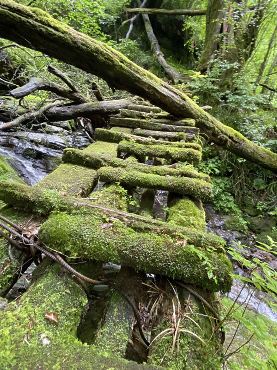 台風などの影響で通れなくなっている吉野川源流点への登山道(いの町寺川=町提供)