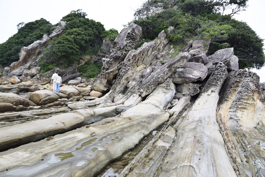 日本ジオパークに認定された土佐清水ジオパーク。活発な大地の変動を記録する竜串海岸（土佐清水市）