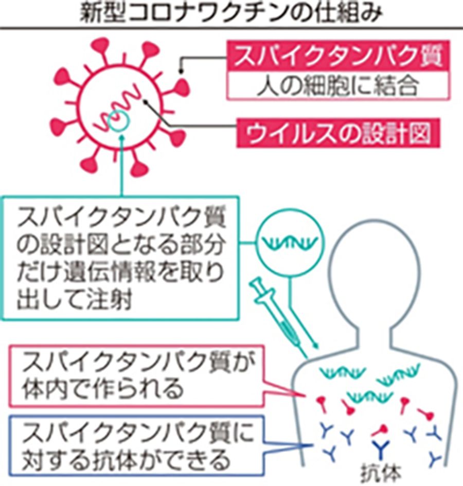 イドバタ 新型コロナワクチンってどんなもの 吉川先生に聞きました 高知新聞