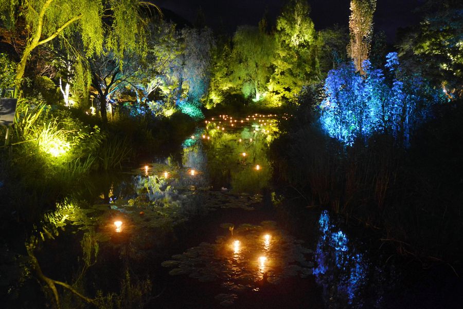 モネの庭 幻想的に １０ ２からライトアップ 高知県北川村 高知新聞