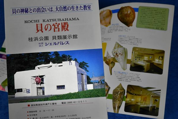 どうする 桂浜 現在過去未来 第２部 ２ 大言壮語をまき散らす 高知新聞