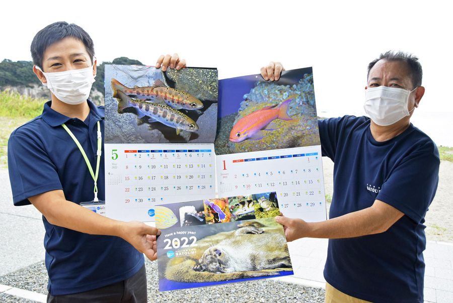 魚やウミウシ、クラゲなど多彩な生き物の写真を掲載した「SATOUMI」のカレンダー(土佐清水市三崎)