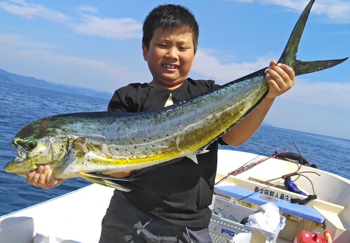 魚信 Fish On シイラ ８６センチ 高知新聞