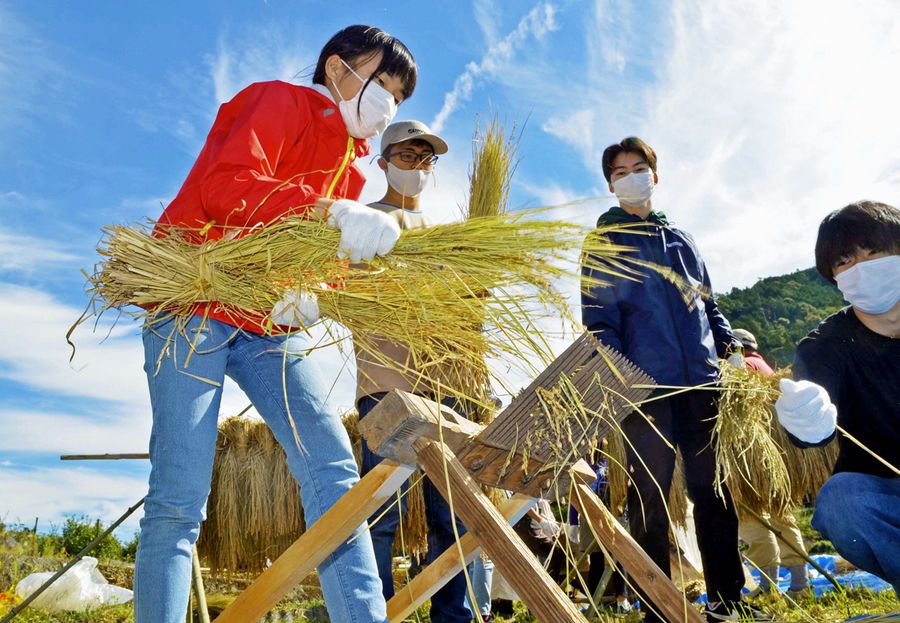 高知新聞