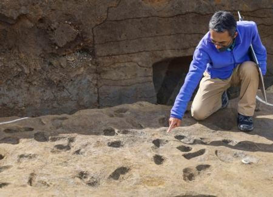 弥生前期の水田跡や墓出土 藤原京跡、橿原考古学研究所 高知新聞