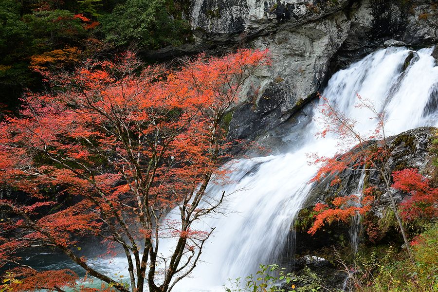 瀬戸川渓谷