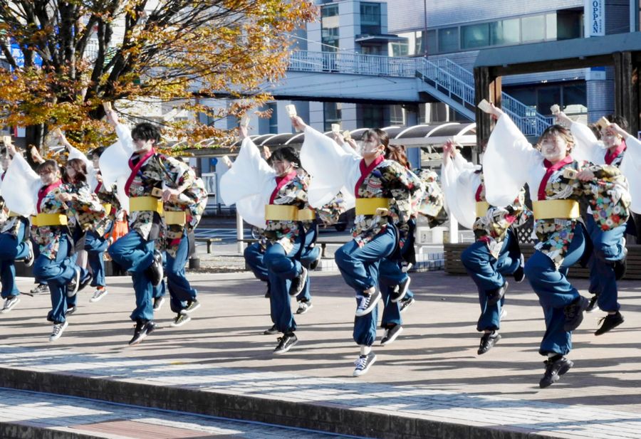 威勢良く演舞を披露する大学生たち(高知市の中央公園)