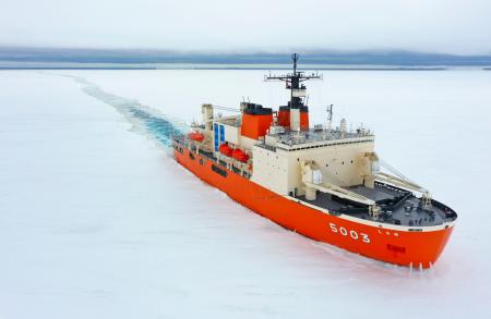 南極 南極の石 しらせ 昭和基地 南極観測船 ふじ 【公式通販】