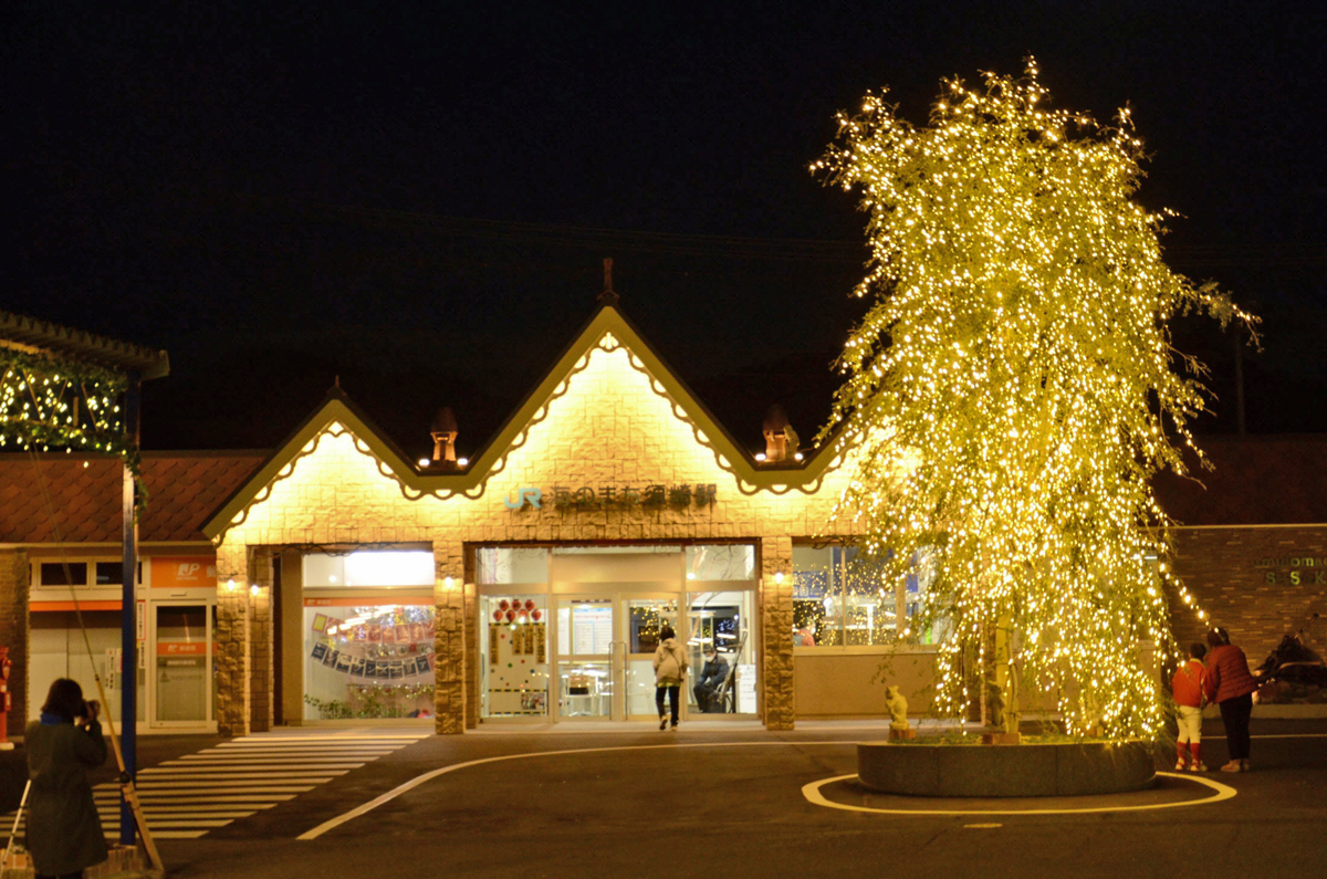 新装・須崎駅前に7メートル電飾ツリー！LED1万個、1月末まで 高知県須崎市 高知新聞