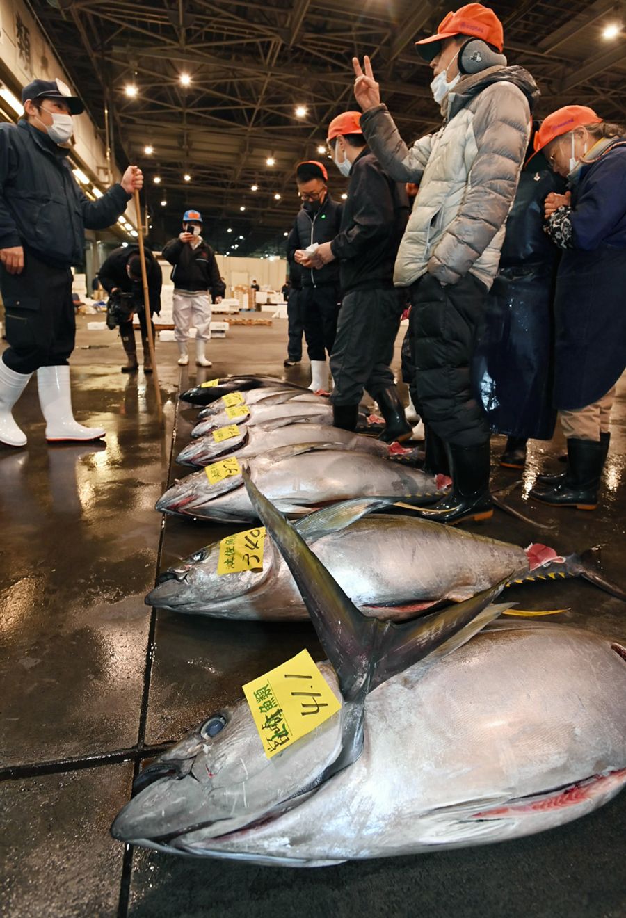 初競り さあ いこうか 高知市卸売市場に熱気飛び交う 高知新聞