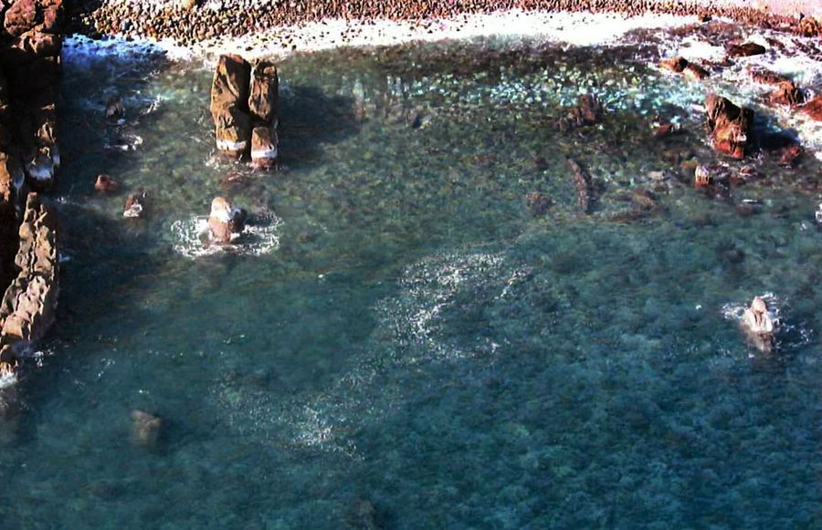 室戸市沿岸から数十メートル先の海上に漂う軽石とみられる物体=写真中央(高知県提供)