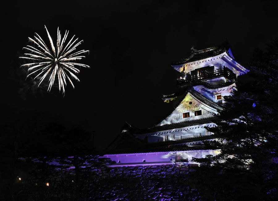 高知城包む光の競演 サプライズ花火に歓声 体験イベントｎａｋｅｄ ｆｌｏｗｅｒｓ閉幕 高知新聞