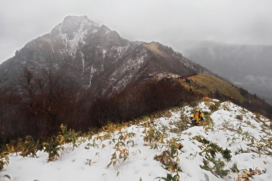 雪のササ原を進む。一瞬、ガスが晴れて寒風山が姿を現した（いの町桑瀬）